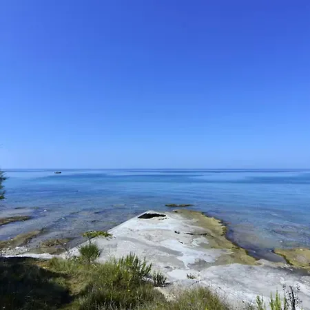 Peaceful With Bbq And Parking Apartamento